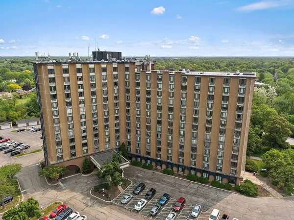 1 Renaissance PL #517