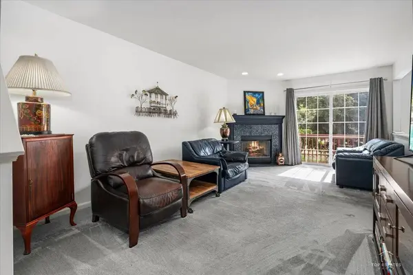 1743 W Ethans Glen DR, Palatine, IL 60067