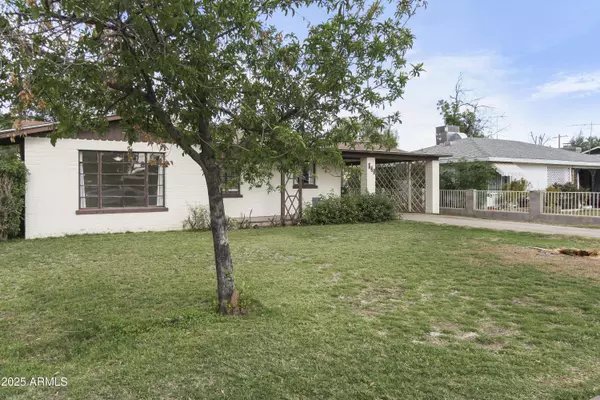 549 N Olive --, Mesa, AZ 85203