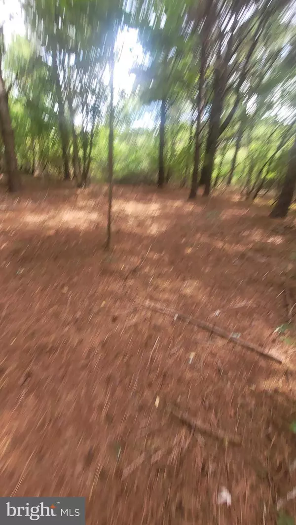 10028 N SCHOOL RD, Deal Island, MD 21821