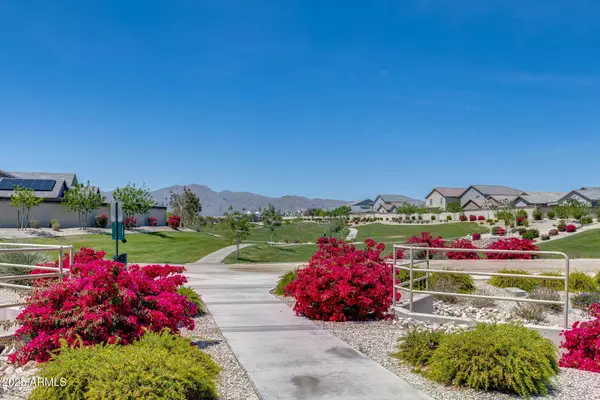 17036 W DIANA Avenue, Waddell, AZ 85355