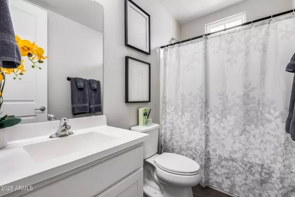 631 W WINCHESTER Drive, Chandler, AZ 85286