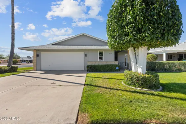 10236 N 108TH Drive, Sun City, AZ 85351