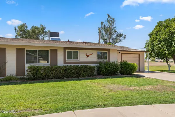 10207 W SNEAD Circle S, Sun City, AZ 85351