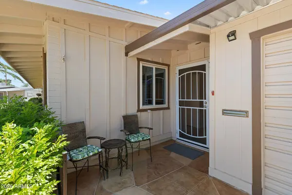10207 W SNEAD Circle S, Sun City, AZ 85351