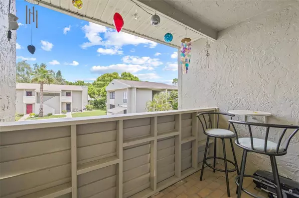 416 WINDRUSH BAY DR #416, Tarpon Springs, FL 34689