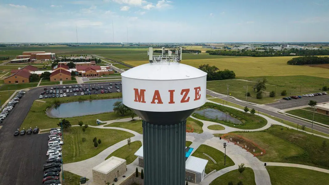 Maize