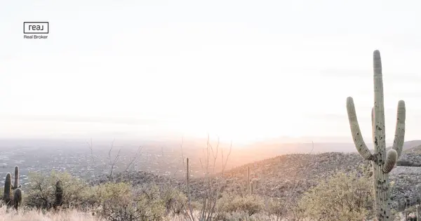 feature image of Moving to Arizona from California. What Nobody Tells You Before You Make the Move.
