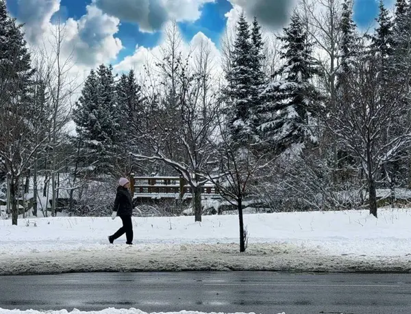 2518 Fish Creek BLVD SW #2117, Calgary, AB T2Y4T6