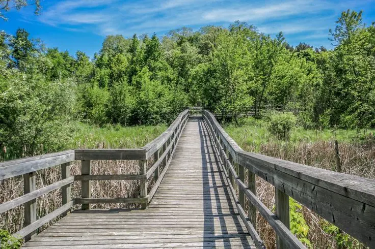 Caledon