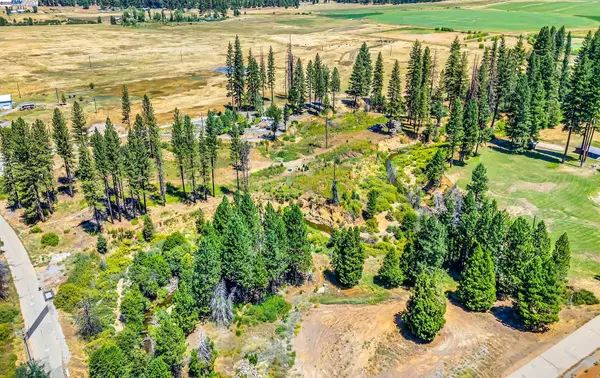 185 Spirit Spgs, Greenville, CA 95947