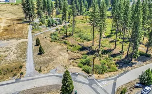 185 Spirit Spgs, Greenville, CA 95947