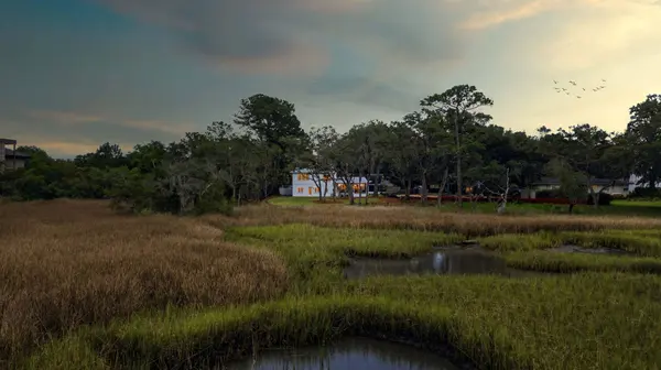 46 Chadwick Dr, Charleston, SC 29407