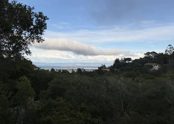 1407 Carlton RD, Hillsborough, CA 94010