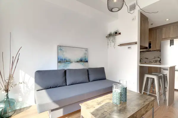 385 Rue St-Martin #204, Montréal (le Sud-ouest), QC H3J0C6