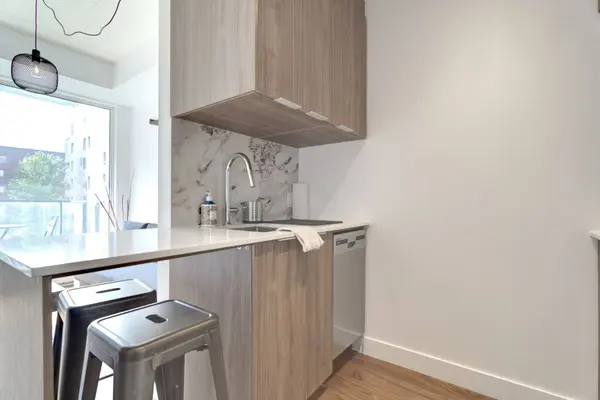 385 Rue St-Martin #204, Montréal (le Sud-ouest), QC H3J0C6