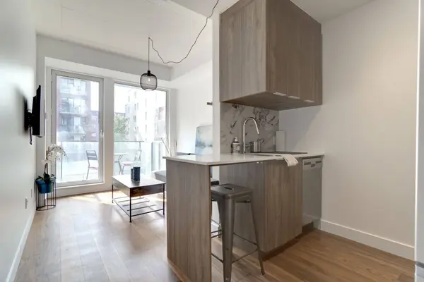 385 Rue St-Martin #204, Montréal (le Sud-ouest), QC H3J0C6