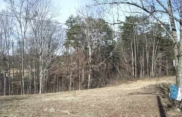 8011 Bork Memorial Dr, Ooltewah, TN 37363-9092