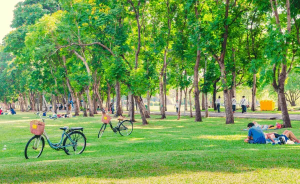 Discover San Diego's Best Parks and Outdoor Spaces: Perfect for Nature Lovers and Families!