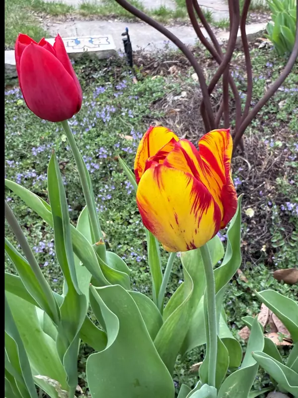 May in Salt Lake City: A Month of Adventure, Art, and Community,Daniel Gaffin