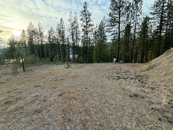 1199 Gold Edge Mine Rd, Kettle Falls, WA 99141