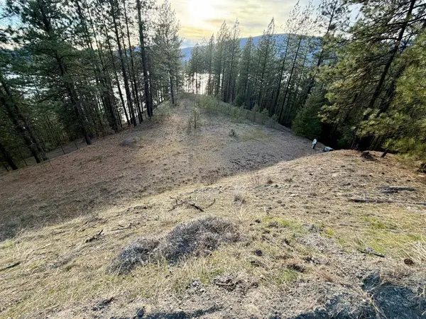 1199 Gold Edge Mine Rd, Kettle Falls, WA 99141