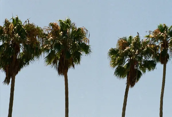 Lantern District: Dana Point’s Coastal Luxury Revival,Hailey Potok