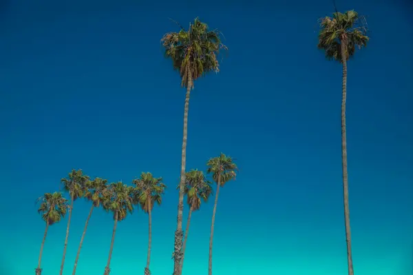 Finding Home on Memory Lane: Why Aliso Viejo is a Smart Choice for Today’s Homebuyers