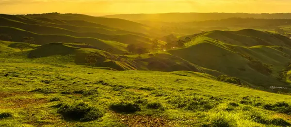 Elevated Living in San Joaquin Hills: Discover the Lifestyle of Laguna Niguel, Orange County