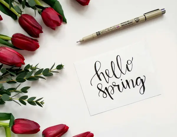 How to Prepare Your OC Home for the Spring Market (2026 Guide for Orange County Sellers),Hailey Potok