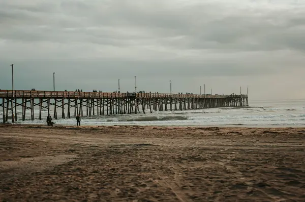 Newport Beach Tips: Timing Your Luxury Home Sale for Maximum Value