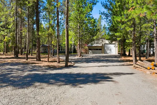 50858 Fawn LOOP