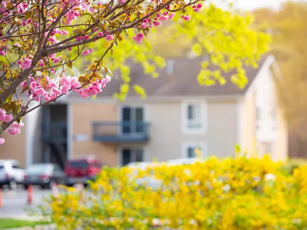 Why Spring is the Best Time to Sell in Santa Clarita and How to Take Advantage,Cyndi Lesinski