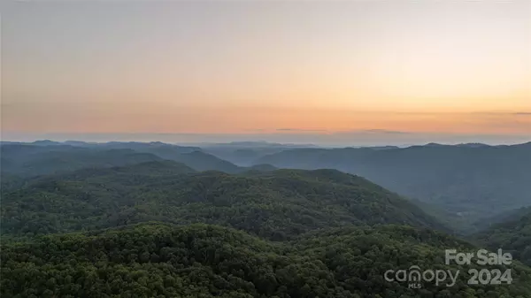 130 Piney Ridge LN, Saluda, NC 28773