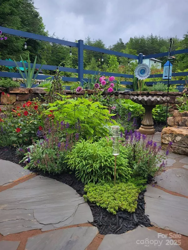 231 Bible School RD, Lake Lure, NC 28746