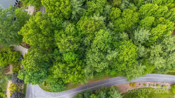 0 South Ridge DR #61/62, Hendersonville, NC 28739