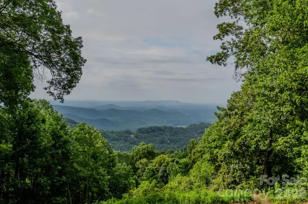 42 Wild Magnolia WAY, Zirconia, NC 28790