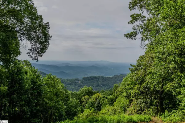 42 Wild Magnolia Way, Zirconia, NC 28790