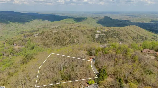 53 Harrier Lane, Landrum, SC 29356