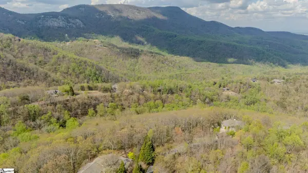 53 Harrier Lane, Landrum, SC 29356