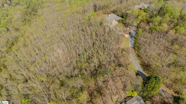 53 Harrier Lane, Landrum, SC 29356