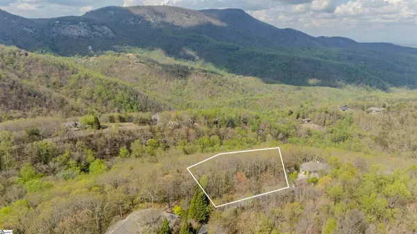 53 Harrier Lane, Landrum, SC 29356