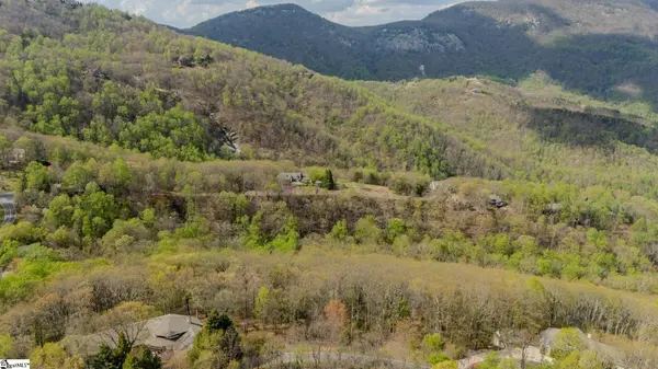 53 Harrier Lane, Landrum, SC 29356