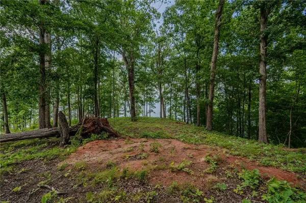 233 Sandy Hollow CT, Six Mile, SC 29682