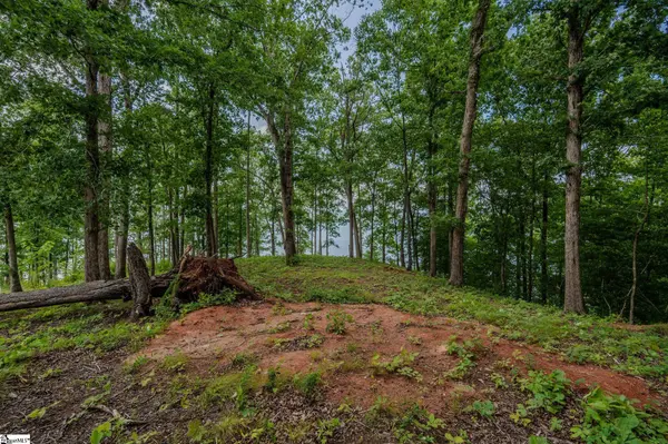 233 Sandy Hollow Court, Six Mile, SC 29682