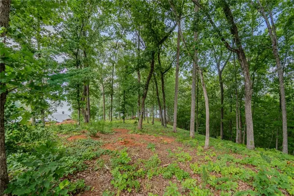 233 Sandy Hollow CT, Six Mile, SC 29682