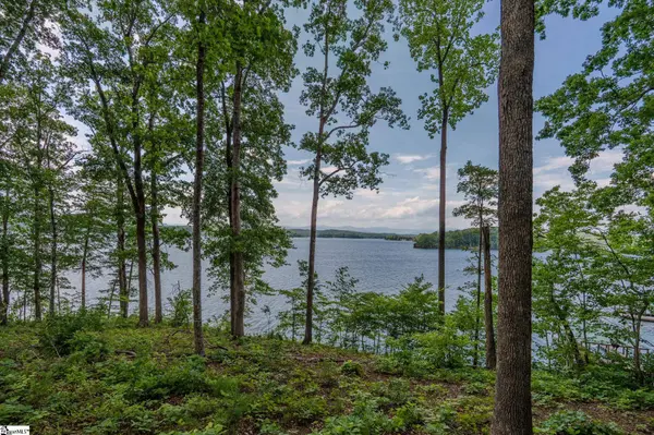 233 Sandy Hollow Court, Six Mile, SC 29682