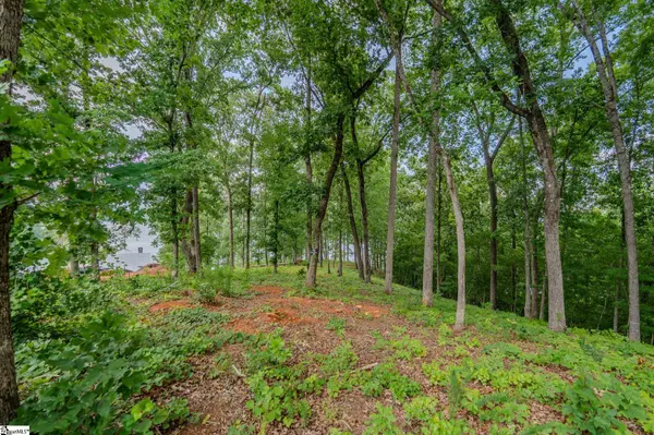 233 Sandy Hollow Court, Six Mile, SC 29682