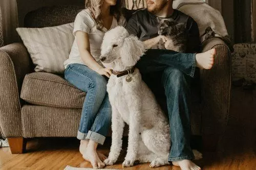 How to Sell a Home in Wichita with Pets,Elizabeth Stanton