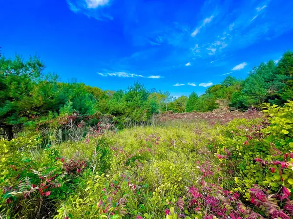 XXX Plainview Drive, Troy Twp, WI 54022